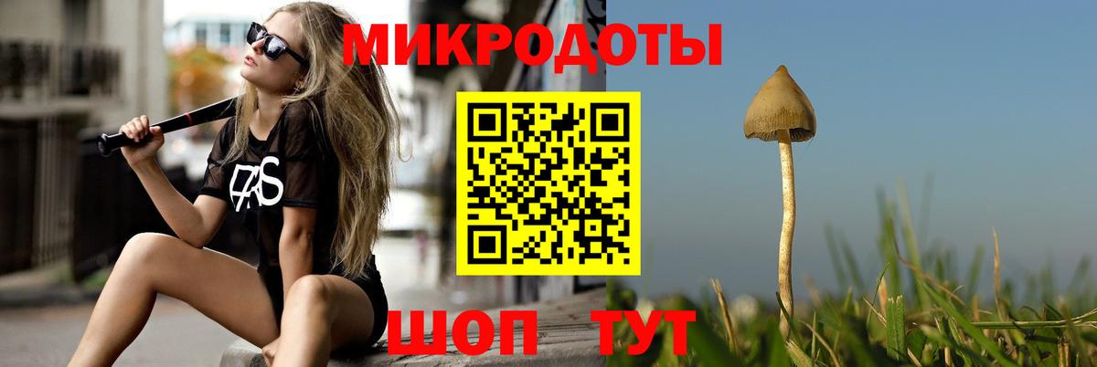 Псилоцибиновые грибы Psilocybine cubensis Рыбинск